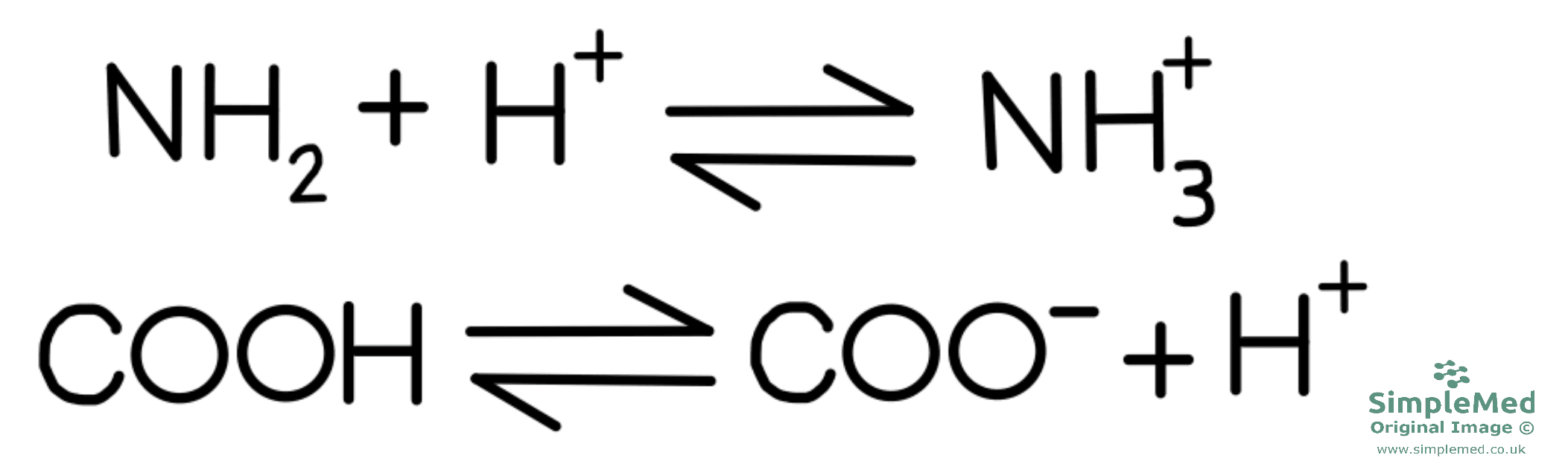 Amino Acid Charge Reaction SimpleMed Amino Acid Charge Reaction SimpleMed