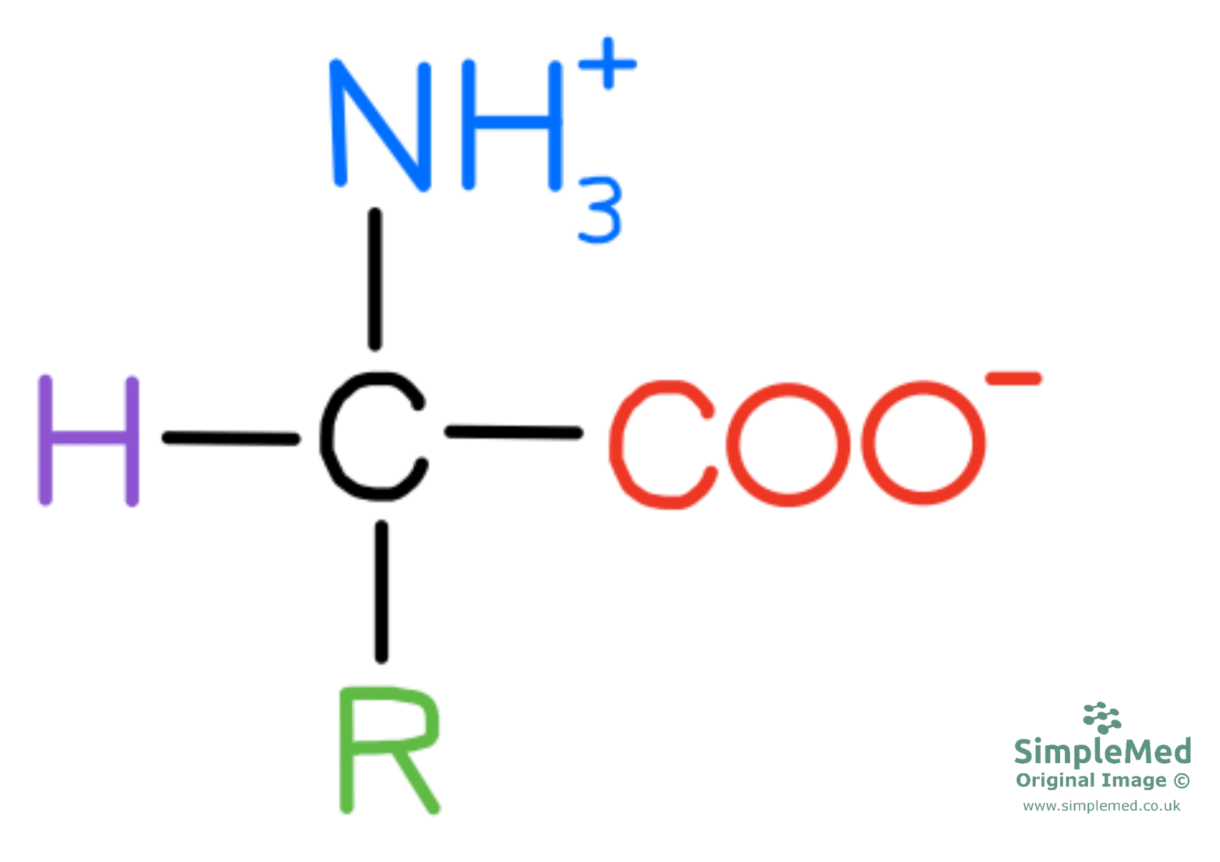 Amino Acid Zwitterion SimpleMed Amino Acid Zwitterion SimpleMed