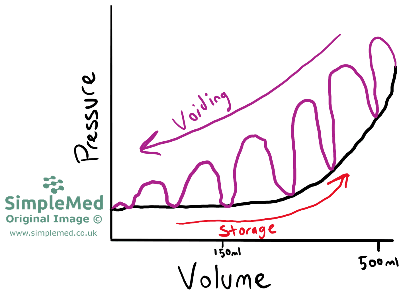 Bladder Volume vs Pressure SimpleMed Bladder Volume vs Pressure SimpleMed