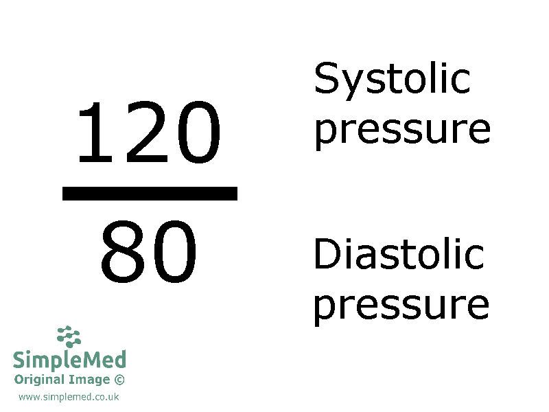 Systole and Diastole Blood Pressure SimpleMed Systole and Diastole Blood Pressure SimpleMed