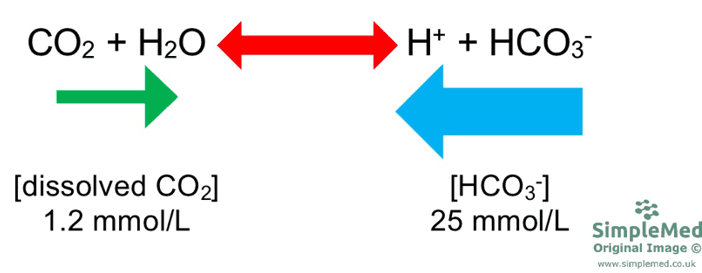 Equation Showing Concentration of Hydrogen Carbonate SimpleMed Equation Showing Concentration of Hydrogen Carbonate SimpleMed