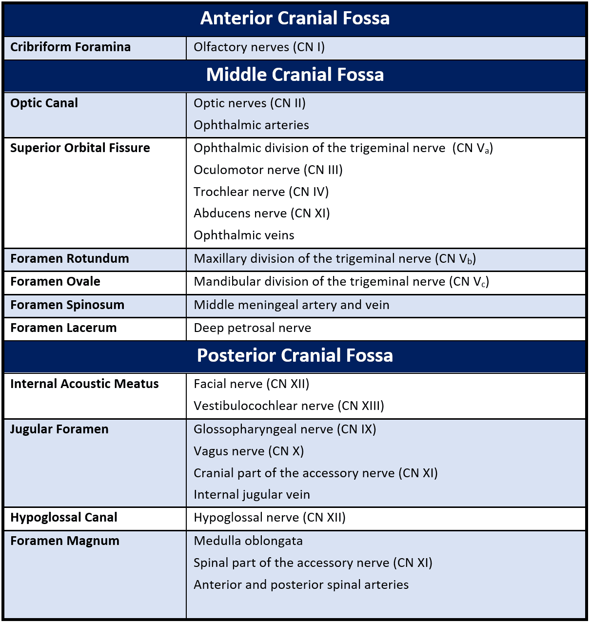 Cranial Canals, Foramina and Fissures SimpleMed Cranial Canals, Foramina and Fissures SimpleMed