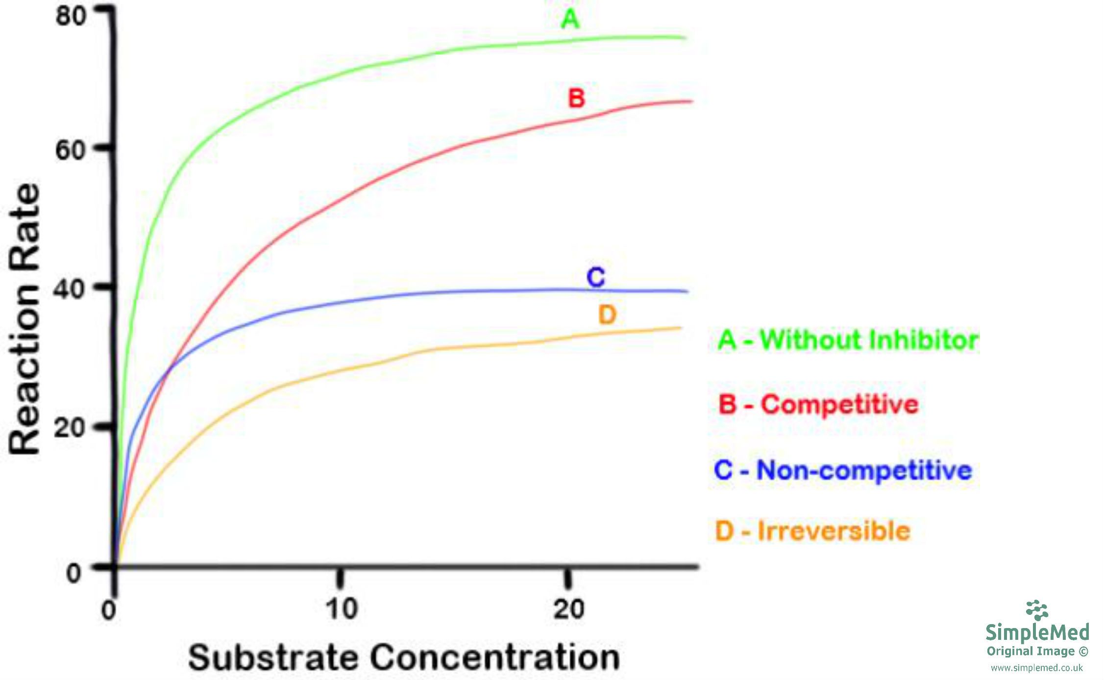 Enzyme Inhibitors Graph SimpleMed Enzyme Inhibitors Graph SimpleMed