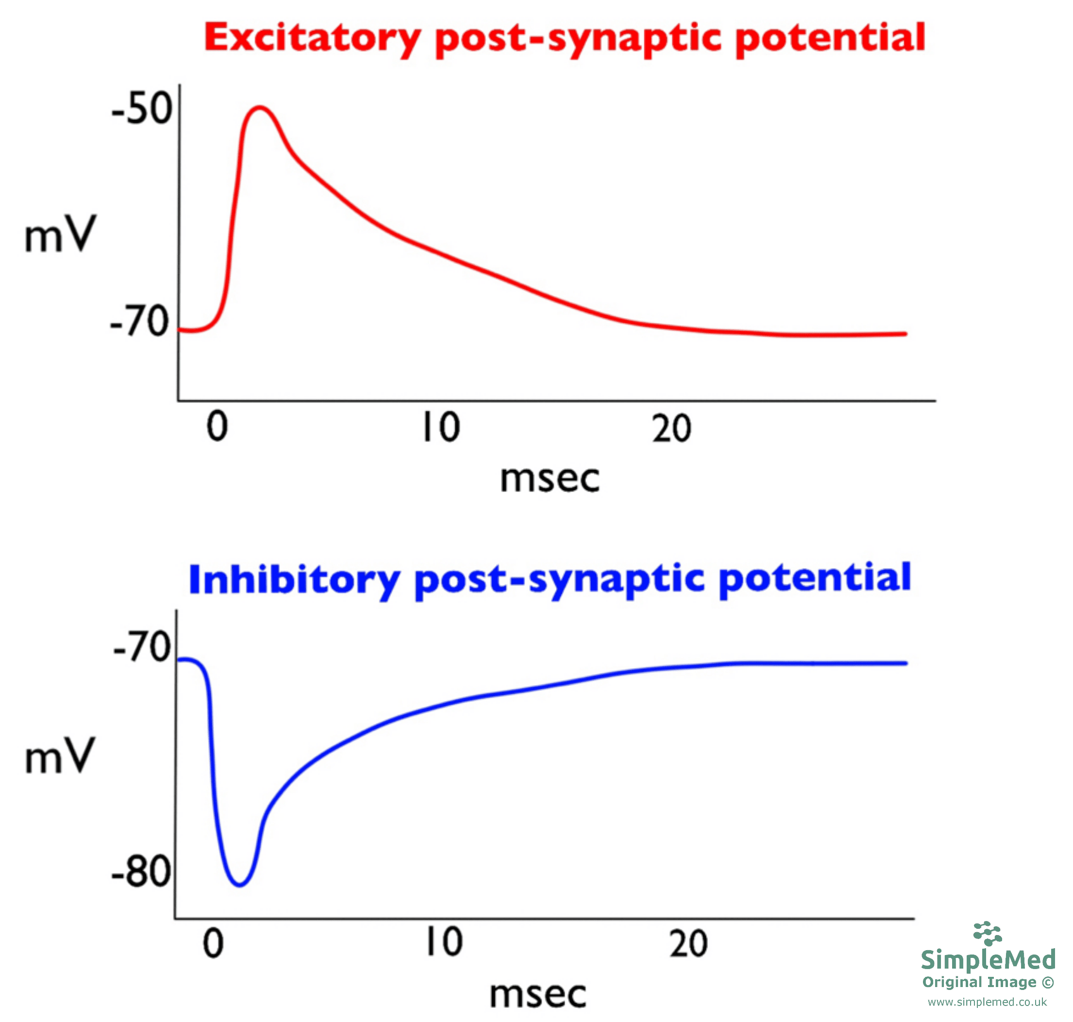 Excitatory and Inhibitory Post-synaptic Potentials SimpleMed Excitatory and Inhibitory Post-synaptic Potentials SimpleMed