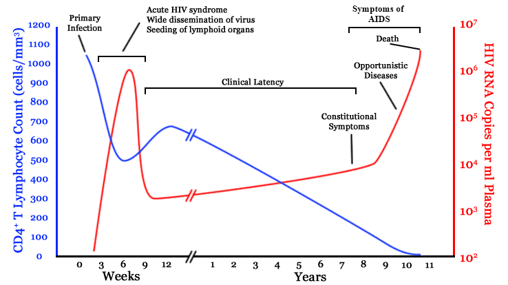 HIV Timeline SimpleMed HIV Timeline SimpleMed