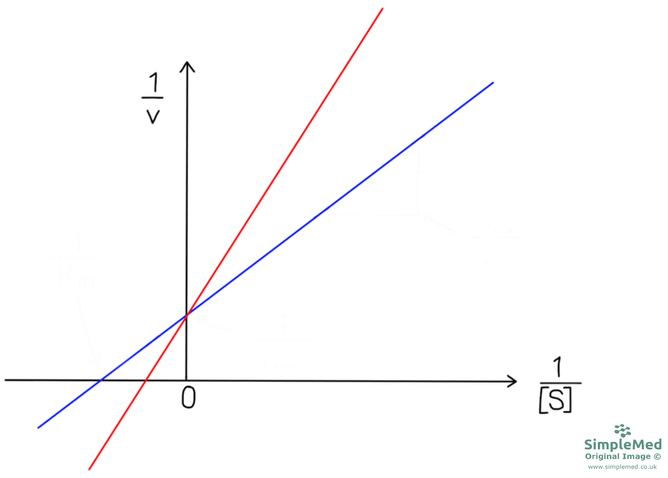 Lineweaver-Burk Plot with a Reversible Competitive Inhibitor SimpleMed Lineweaver-Burk Plot with a Reversible Competitive Inhibitor SimpleMed