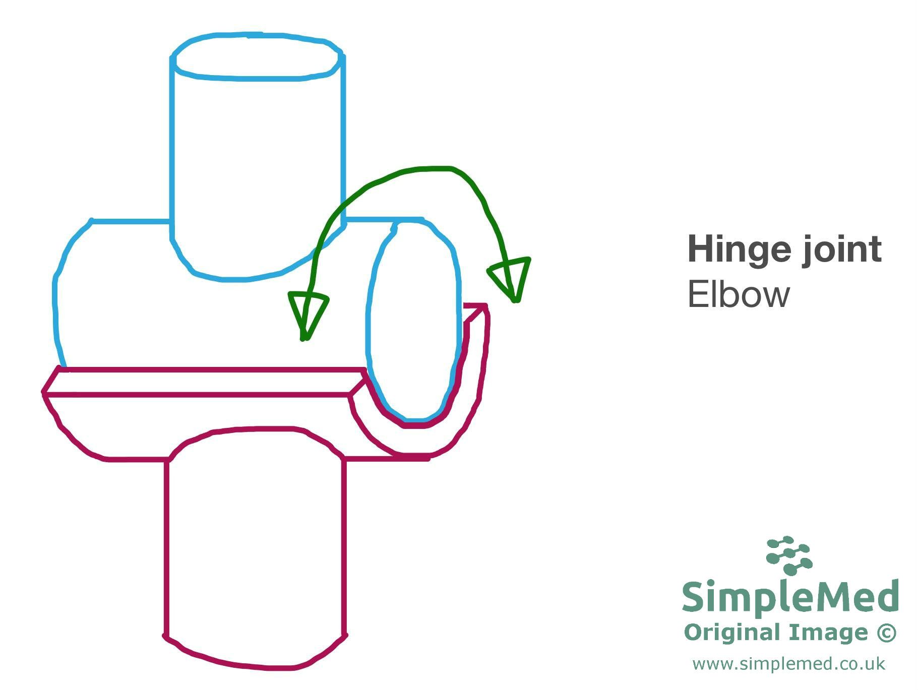 Hinge Joint SimpleMed Hinge Joint SimpleMed