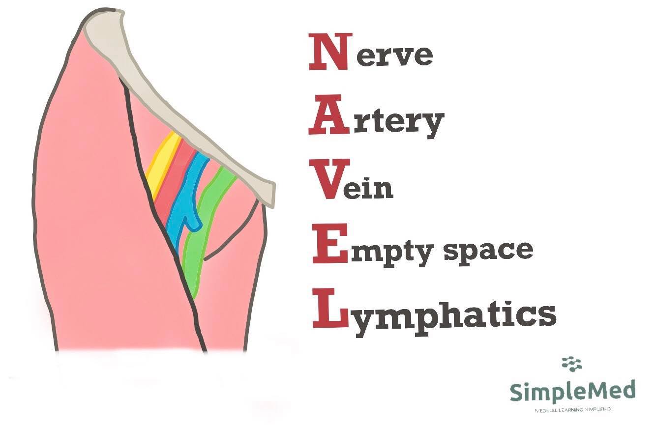 NAVEL Mnemonic SimpleMed NAVEL Mnemonic SimpleMed