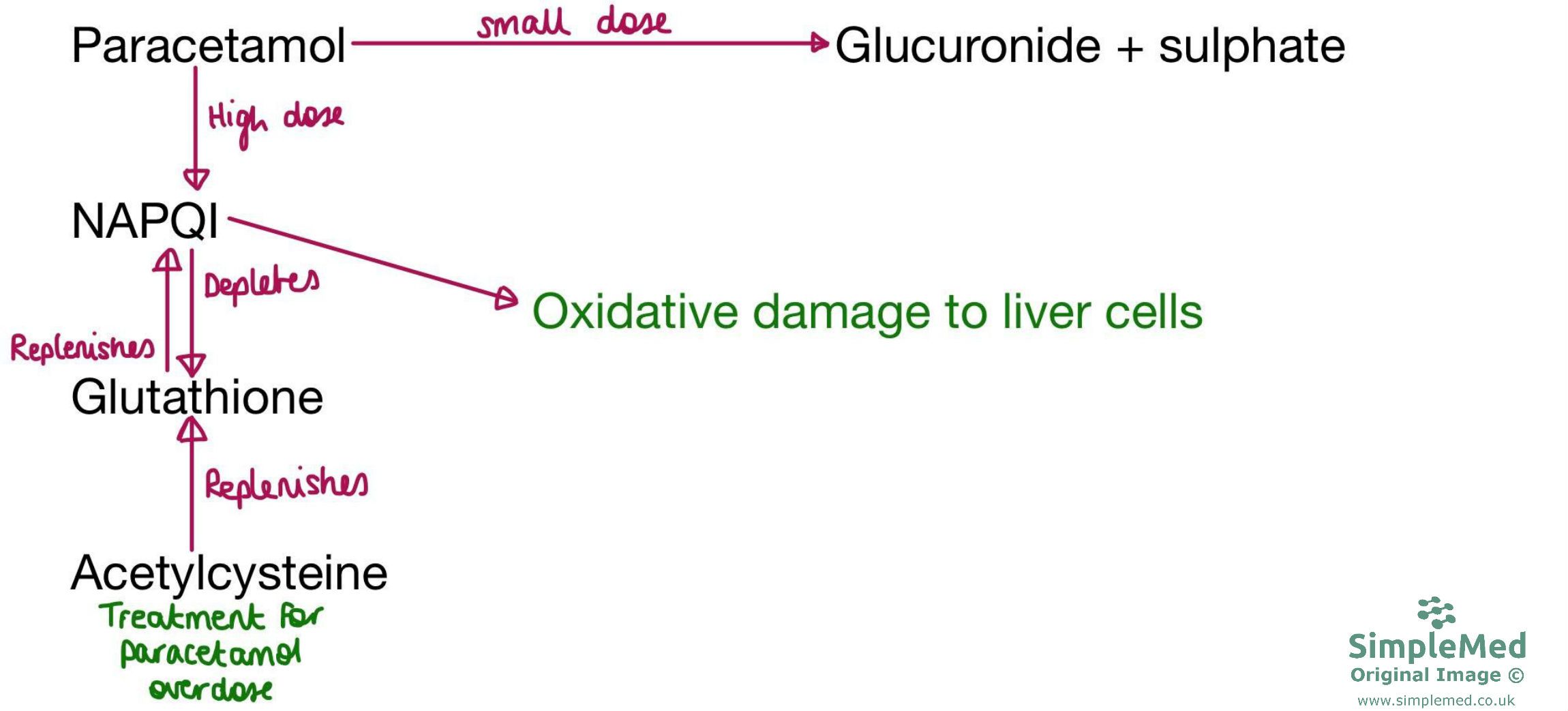 Paracetamol Metabolism Diagram SimpleMed Paracetamol Metabolism Diagram SimpleMed