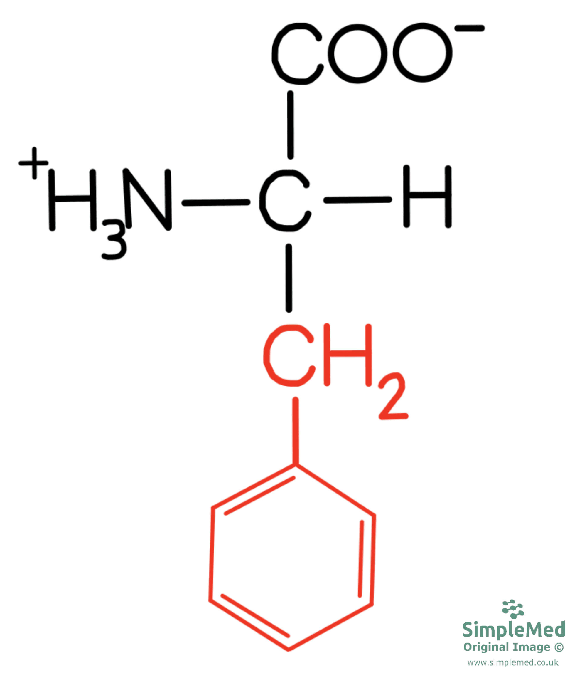 Phenylalanine Diagram SimpleMed Phenylalanine Diagram SimpleMed