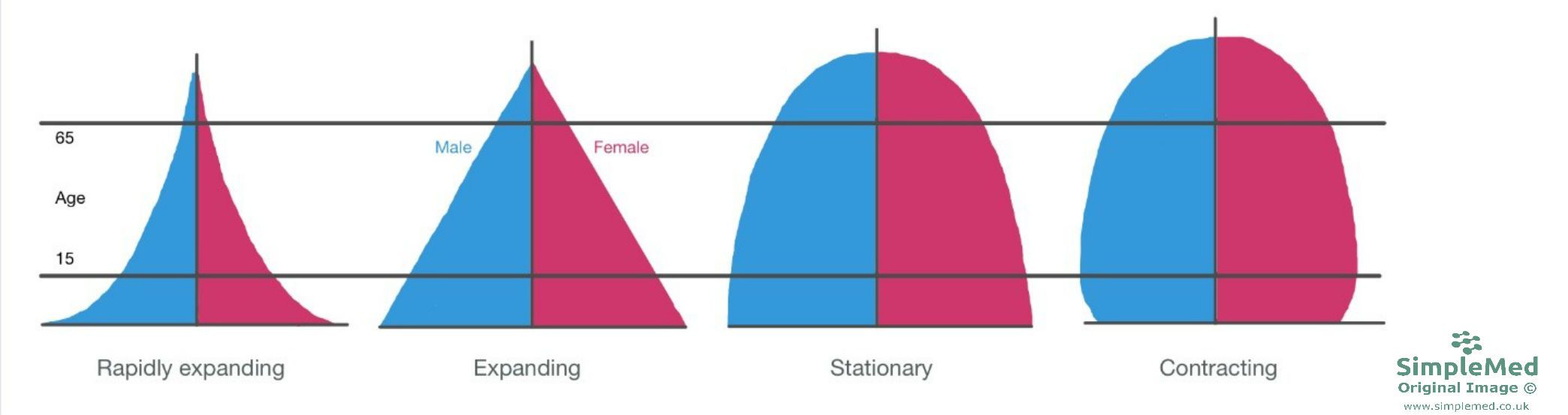 Population Graph SimpleMed