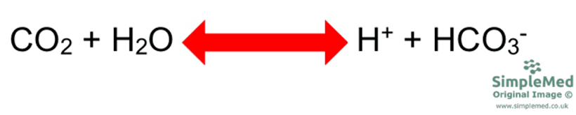 Reaction Between Carbon Dioxide and Water SimpleMed Reaction Between Carbon Dioxide and Water SimpleMed