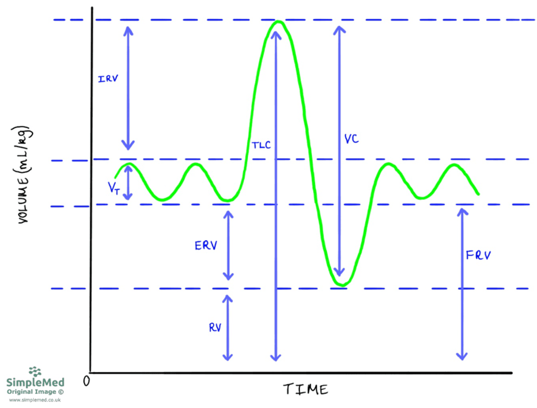 Spirometry Trace SimpleMed Spirometry Trace SimpleMed