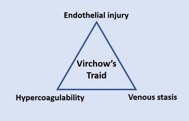 Virchow's Triad SimpleMed Virchow's Triad SimpleMed