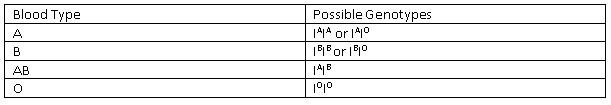 Blood Group Genotypes SimpleMed Blood Group Genotypes SimpleMed