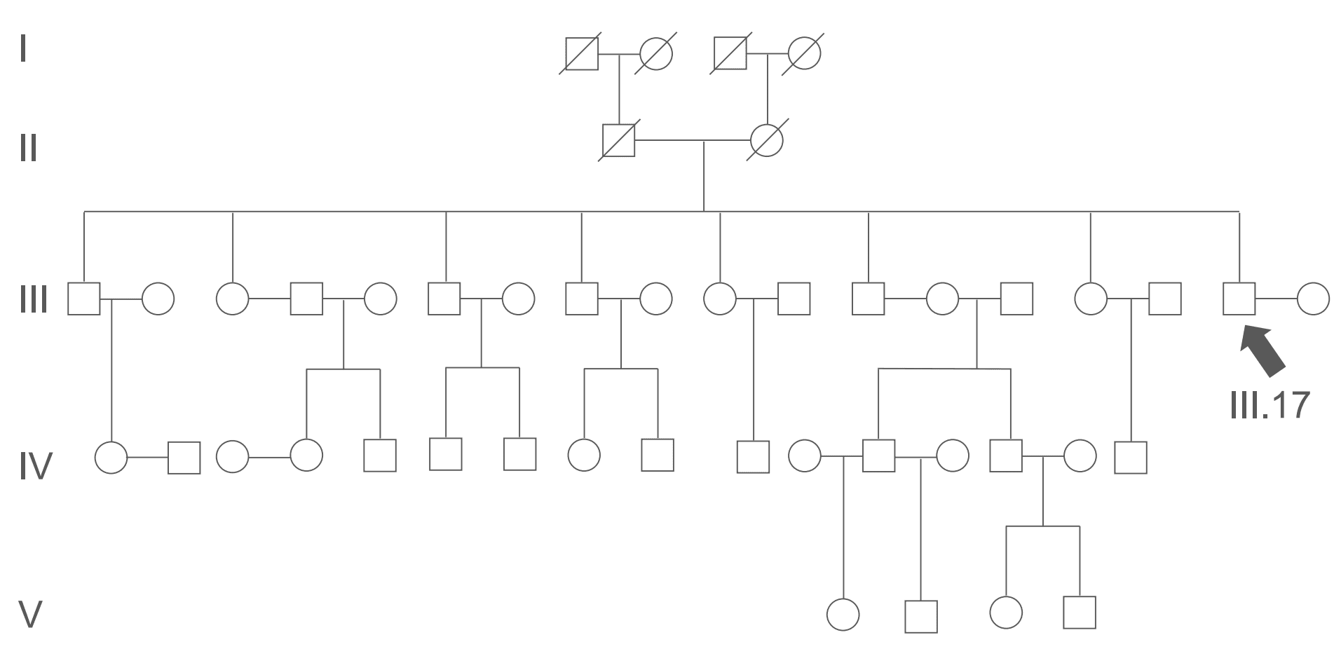 Pedigree Chart Example SimpleMed Pedigree Chart Example SimpleMed
