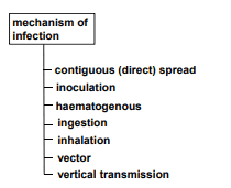 Mechanisms of Infection SimpleMed Mechanisms of Infection SimpleMed