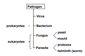 Pathogen Flow Chart SimpleMed Pathogen Flow Chart SimpleMed