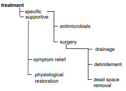 Treatment of Infection Model SimpleMed Treatment of Infection Model SimpleMed