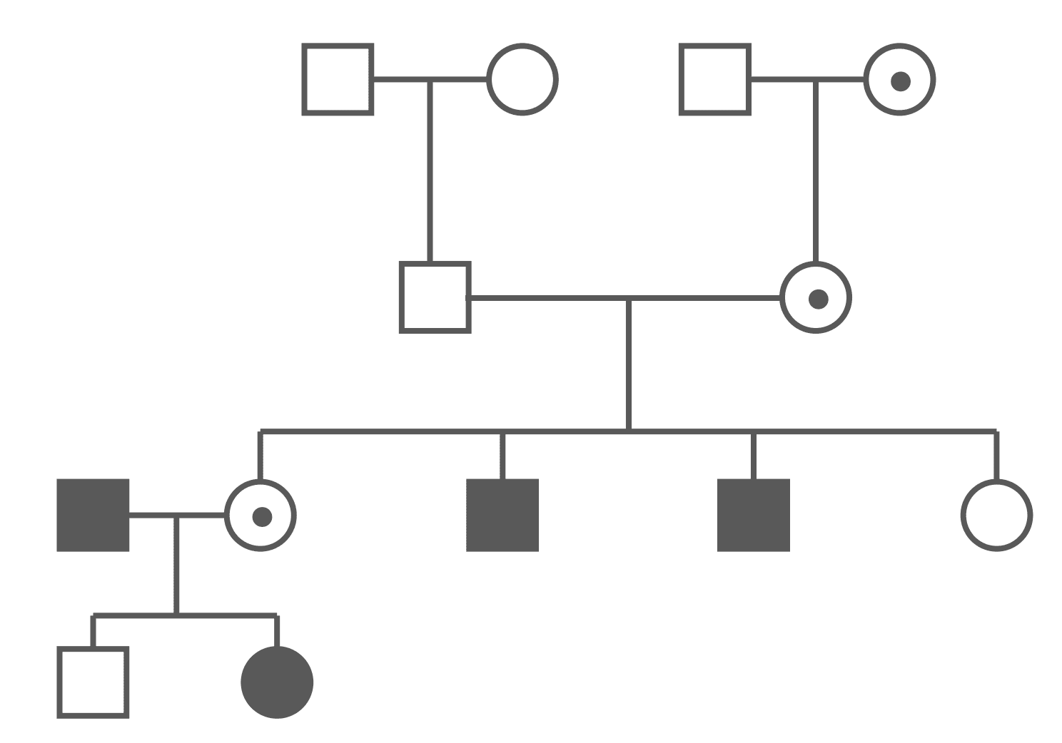 X-Linked Recessive Pedigree Chart SimpleMed X-Linked Recessive Pedigree Chart SimpleMed
